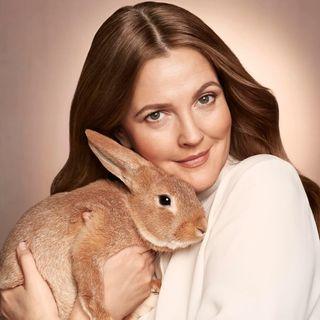 Instagram Profile drewbarrymore