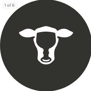 hopdoddy avatar