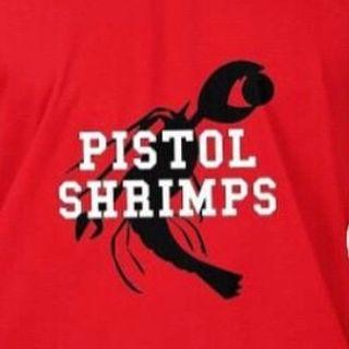 thepistolshrimps avatar