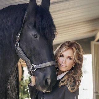 traceybregman1 avatar