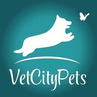 Instagram Profile vetcitypets1